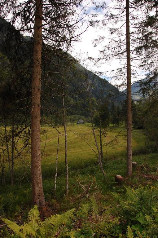 Tetter Gasthof