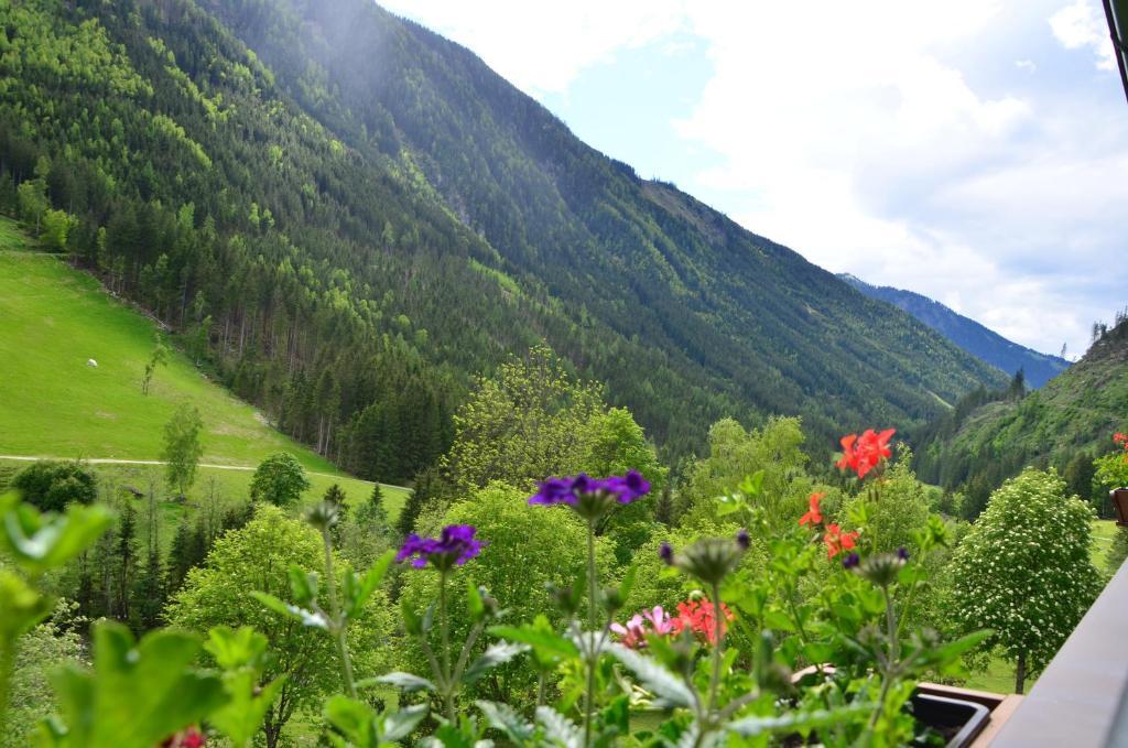 Tetter Schladming
